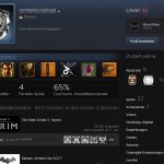 Spielerprofil auf Steam mit angezeigten Achievements